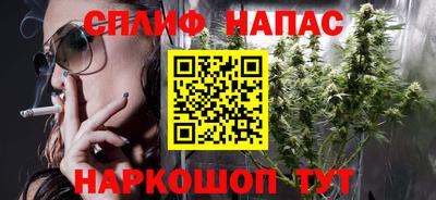 СК Дубна
