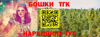 СК Дубна