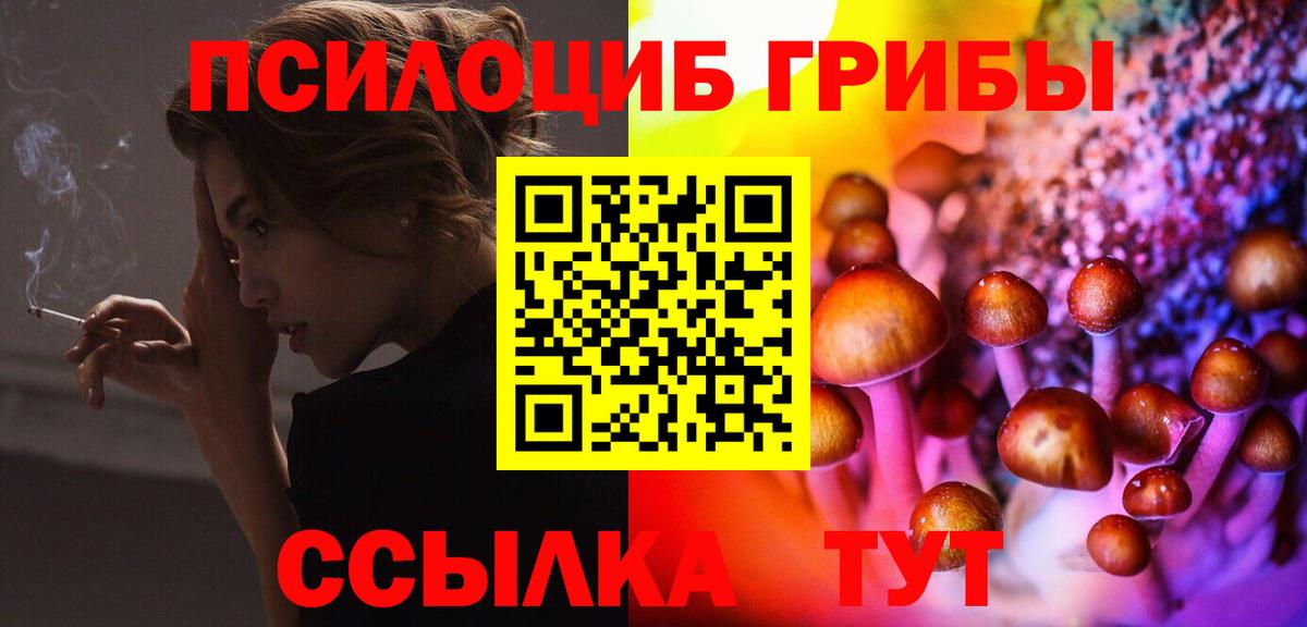 Лесосибирск  Галлюциногенные грибы Psilocybine cubensis  Вход с VPN 